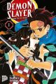 Demon Slayer. Bd.1