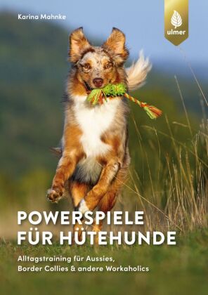 Powerspiele für Hütehunde