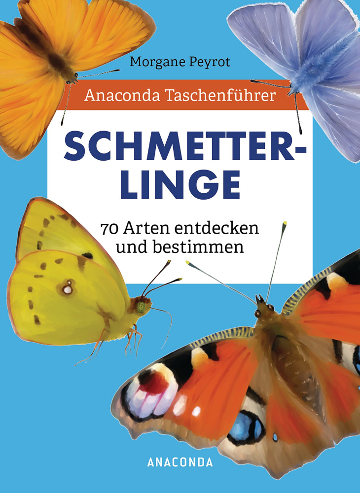 Schmetterlinge