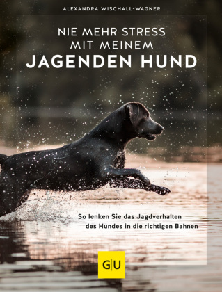 Nie mehr Stress mit meinem jagenden Hund