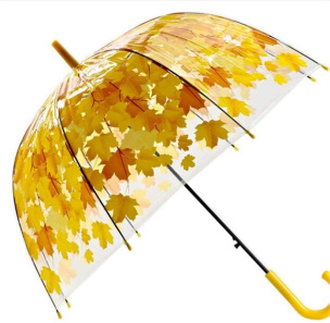 Transparenter Regenschirm Blätter gelb