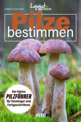 Pilze bestimmen - Der kleine Pilzführer für Einsteiger und Fortgeschrittene