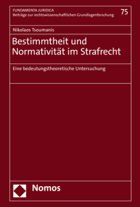 Bestimmtheit und Normativität im Strafrecht