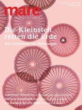 mare - Die Zeitschrift der Meere / No. 155 / Die Kleinsten retten die Erde