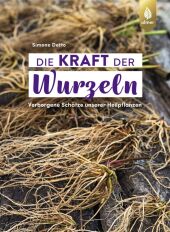 Die Kraft der Wurzeln