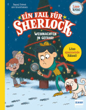 Ein Fall für Sherlock - Weihnachten in Gefahr!