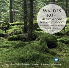 Waldesruh: Romantic Moods