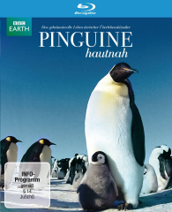 Pinguine hautnah