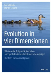 Evolution in vier Dimensionen