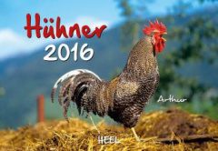 Hühner 2016