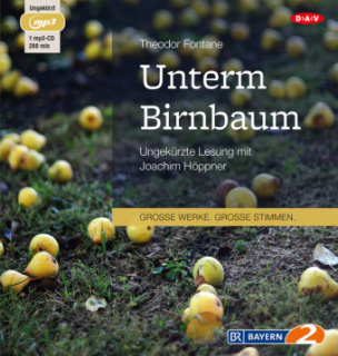 Unterm Birnbaum, 1 MP3-CD