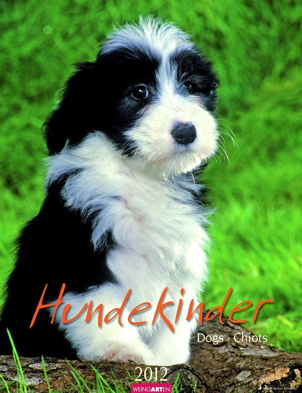 Hundekinder