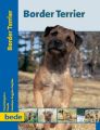 Border Terrier