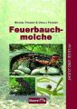 Feuerbauchmolche