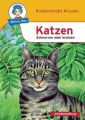 Katzen