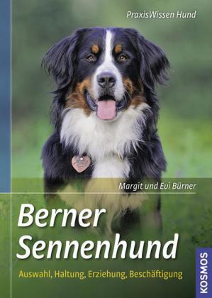 Berner Sennenhund