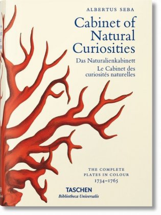 Das Naturalienkabinett / Cabinet of Natural Curiosities  /  Le Cabinet des curiosites naturelles .